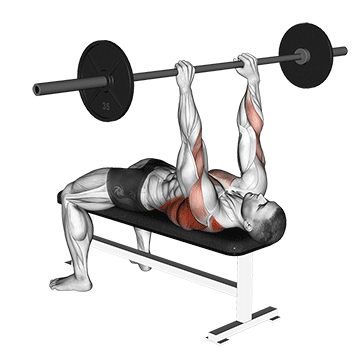 Barbell Pullover To Press demonstration