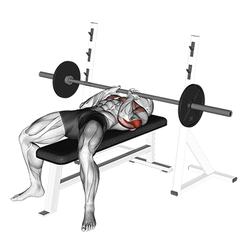 Close Grip Bench Press demonstration