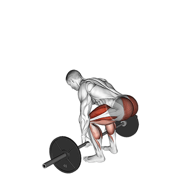Deadlift (Barbell) demonstration