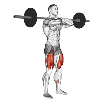 Front Squat (Barbell) demonstration