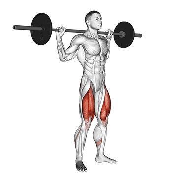 Squat (Barbell) demonstration