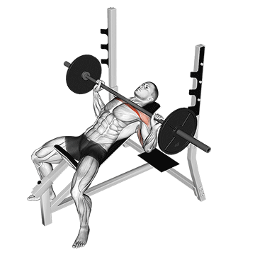 Incline Bench Press (Barbell) demonstration