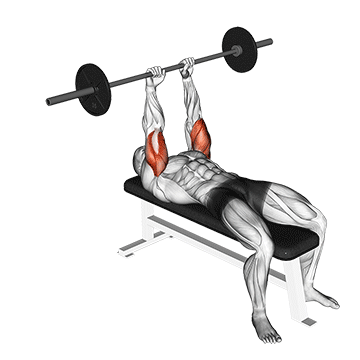 Skullcrusher (Barbell) demonstration
