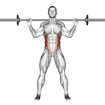 Barbell Standing Twist demonstration