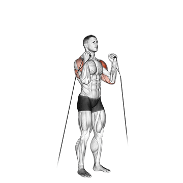 Cable Alternate Shoulder Press demonstration
