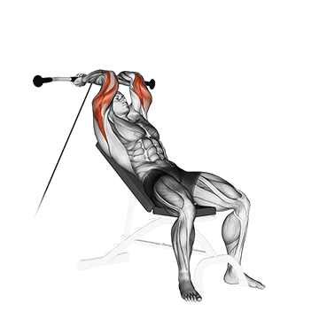 Cable Incline Triceps Extension demonstration