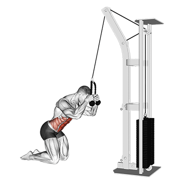 Cable Crunch demonstration