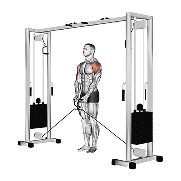 Lateral Raise (Cable) demonstration