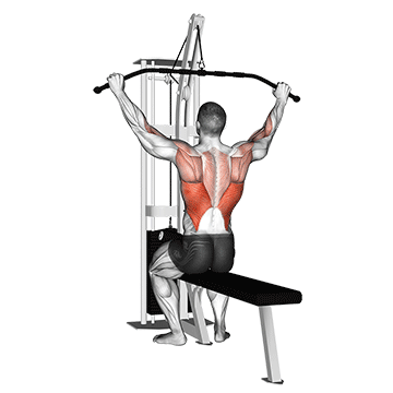 Cable Pulldown (pro Lat Bar) demonstration