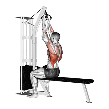Cable Seated High Row (v-bar) demonstration