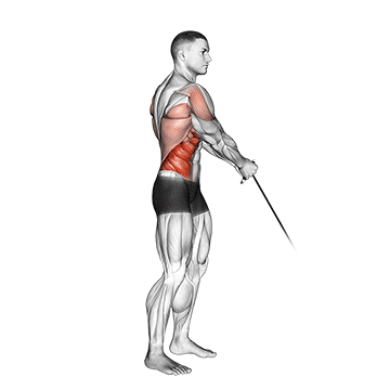 Cable Standing Lift demonstration