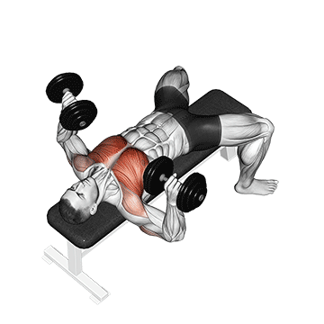 Bench Press (Dumbbell) demonstration