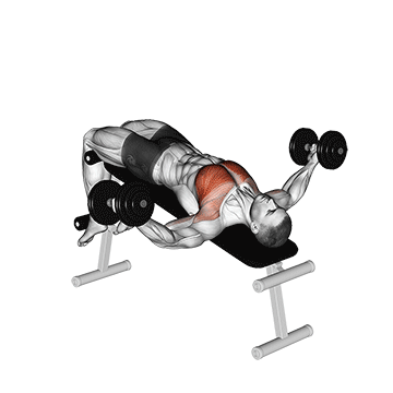 Dumbbell Decline Fly demonstration
