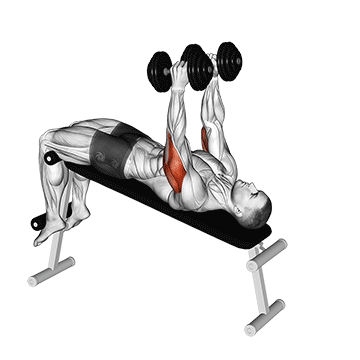Dumbbell Decline Triceps Extension demonstration