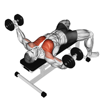 Chest Fly (Dumbbell) demonstration