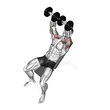 Incline Bench Press (Dumbbell) demonstration