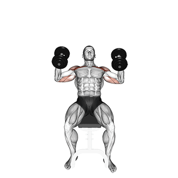 Dumbbell Incline Hammer Press demonstration