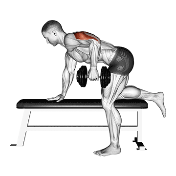 Tricep Kickback (Dumbbell) demonstration