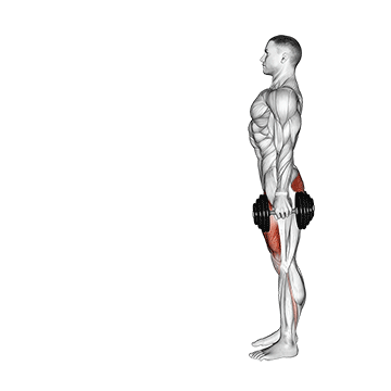 Lunge (Dumbbell) demonstration