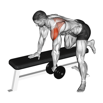 Rear Delt Fly (Dumbbell) demonstration