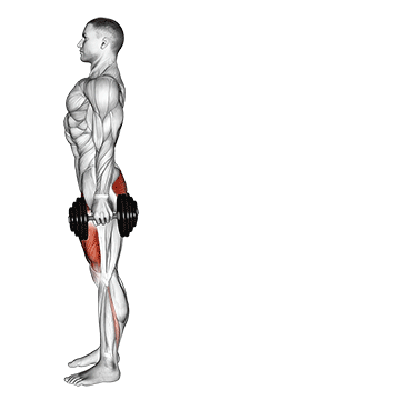 Dumbbell Rear Lunge demonstration
