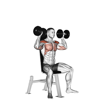 Overhead Press (Dumbbell) demonstration