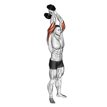Overhead Tricep Extension (Dumbbell) demonstration