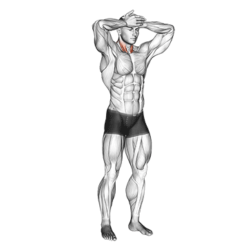 Front And Back Neck Stretch demonstration