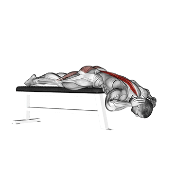 Hyperextension (on Bench) demonstration