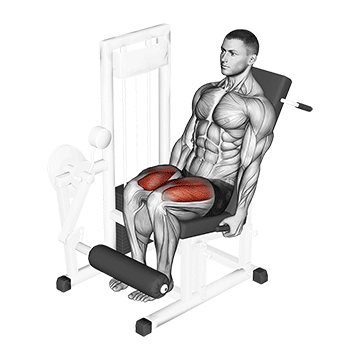 Leg Extension (Machine) demonstration