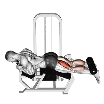 Leg Curl (Machine) demonstration