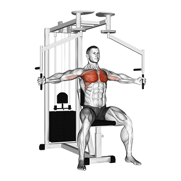Chest Fly (Machine) demonstration