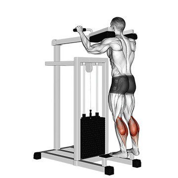 Standing Calf Raise demonstration