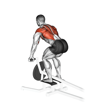 T-Bar Row demonstration