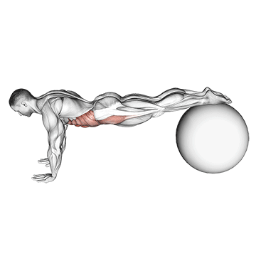 Pull-in (on Stability Ball) demonstration
