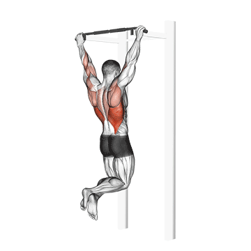 Pull Up demonstration