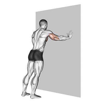 Push-up (wall) V. 2 demonstration