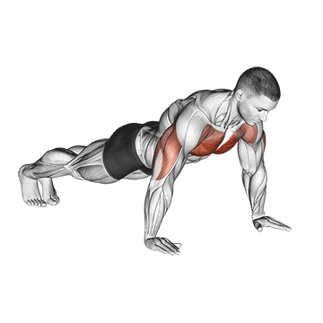 Push Up demonstration