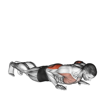 Reverse Dip demonstration