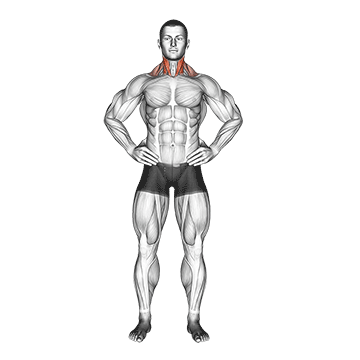 Side Neck Stretch demonstration