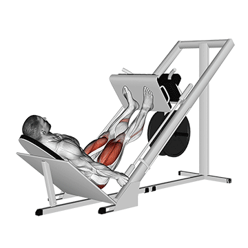 Leg Press (Machine) demonstration