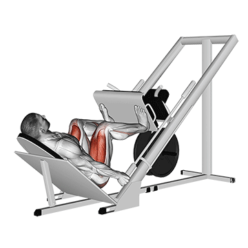 Sled 45° Leg Wide Press demonstration