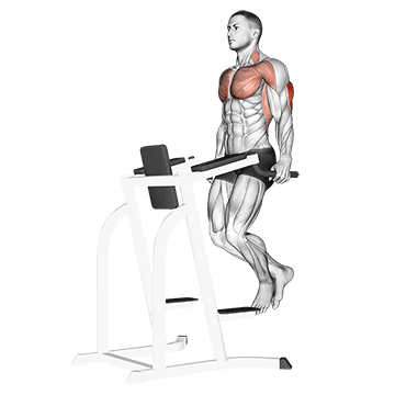 Tricep Dip demonstration