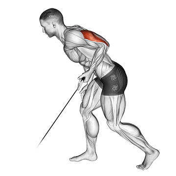 Cable Kickback demonstration
