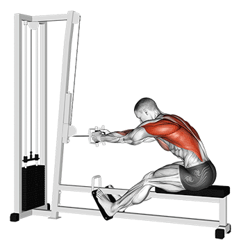 Rowing Machine demonstration