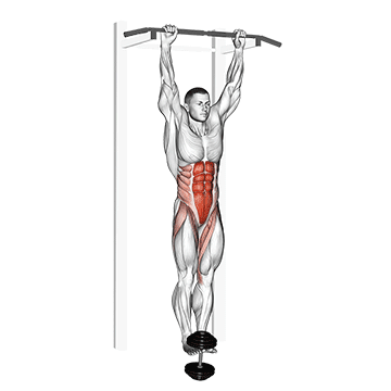 Weighted Hanging Leg-hip Raise demonstration