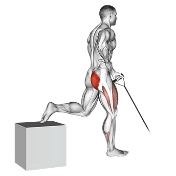 Band One Arm Single Leg Split Squat demonstration
