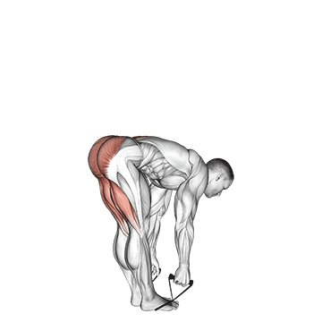 Band Straight Leg Deadlift demonstration