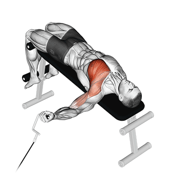 Cable One Arm Decline Chest Fly demonstration