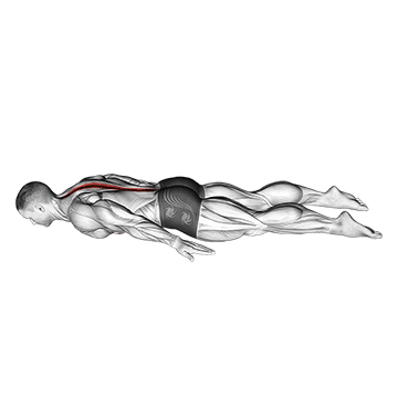 Lower Back Curl demonstration
